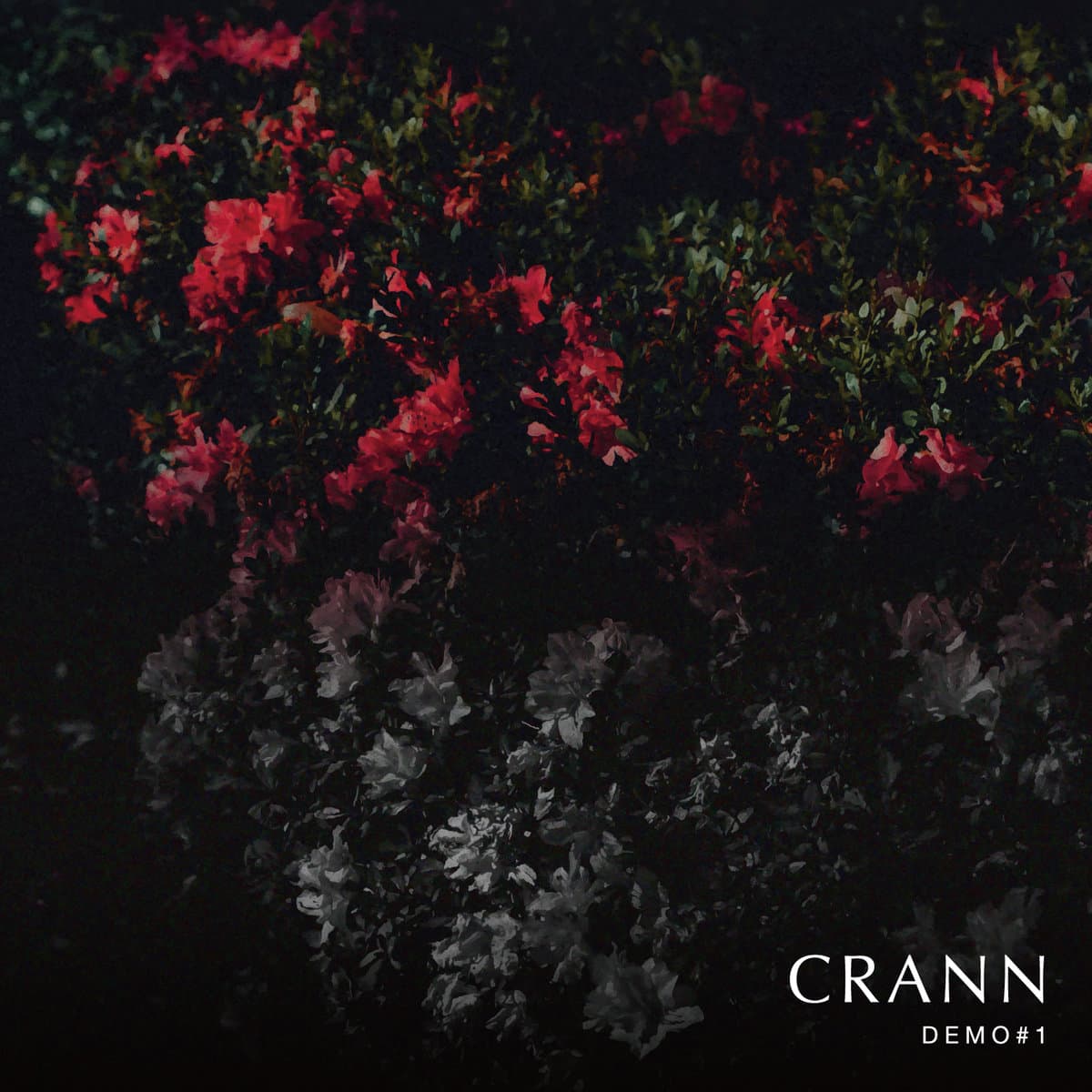 CRANN | DEMO#1