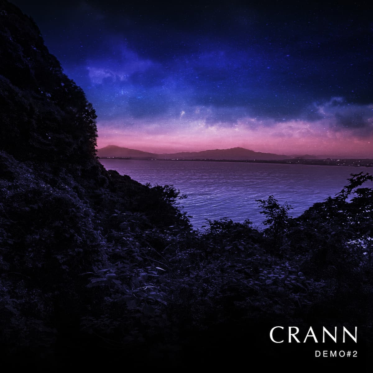 CRANN | DEMO#2
