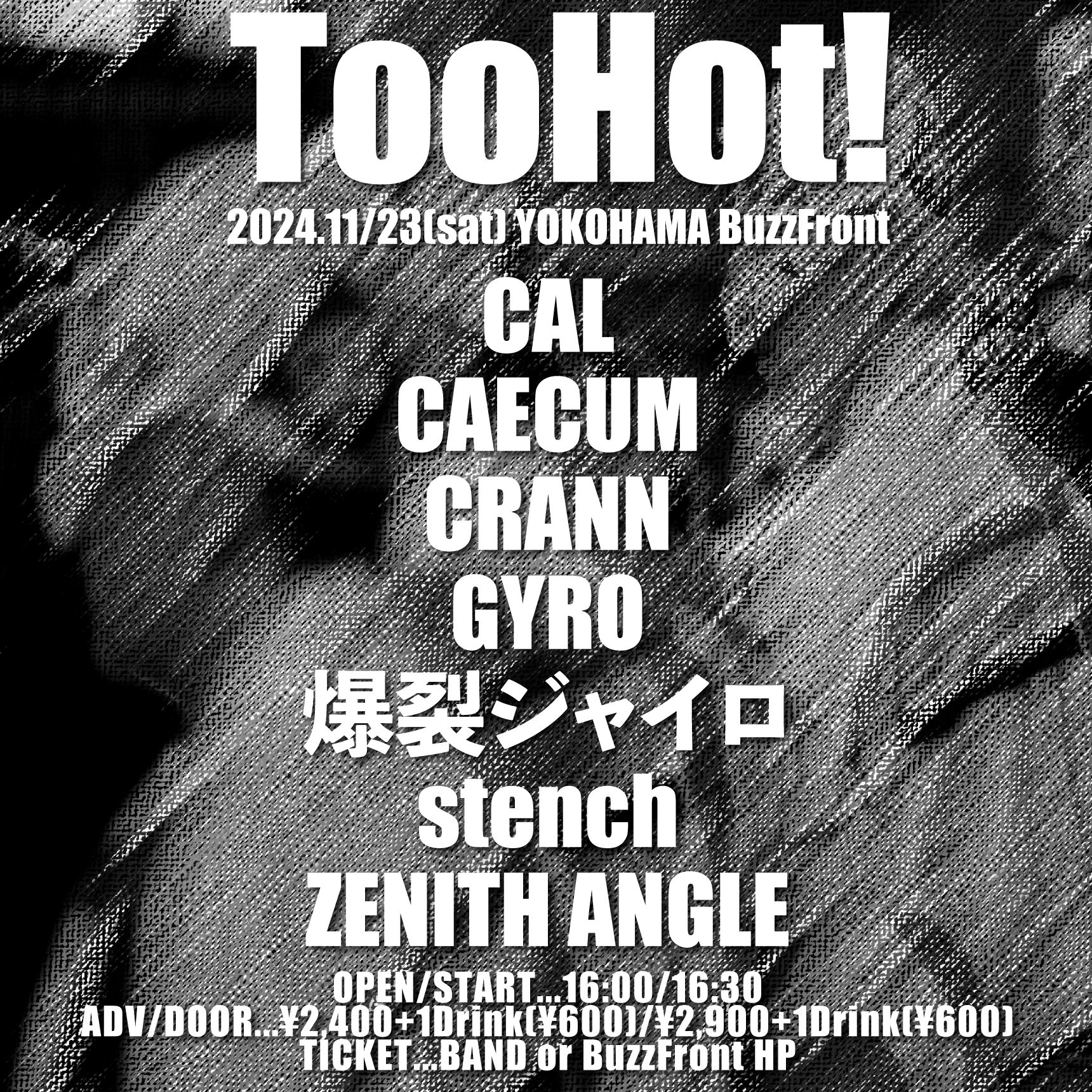 2024/11/23(sat) 横浜BuzzFront Too Hot!