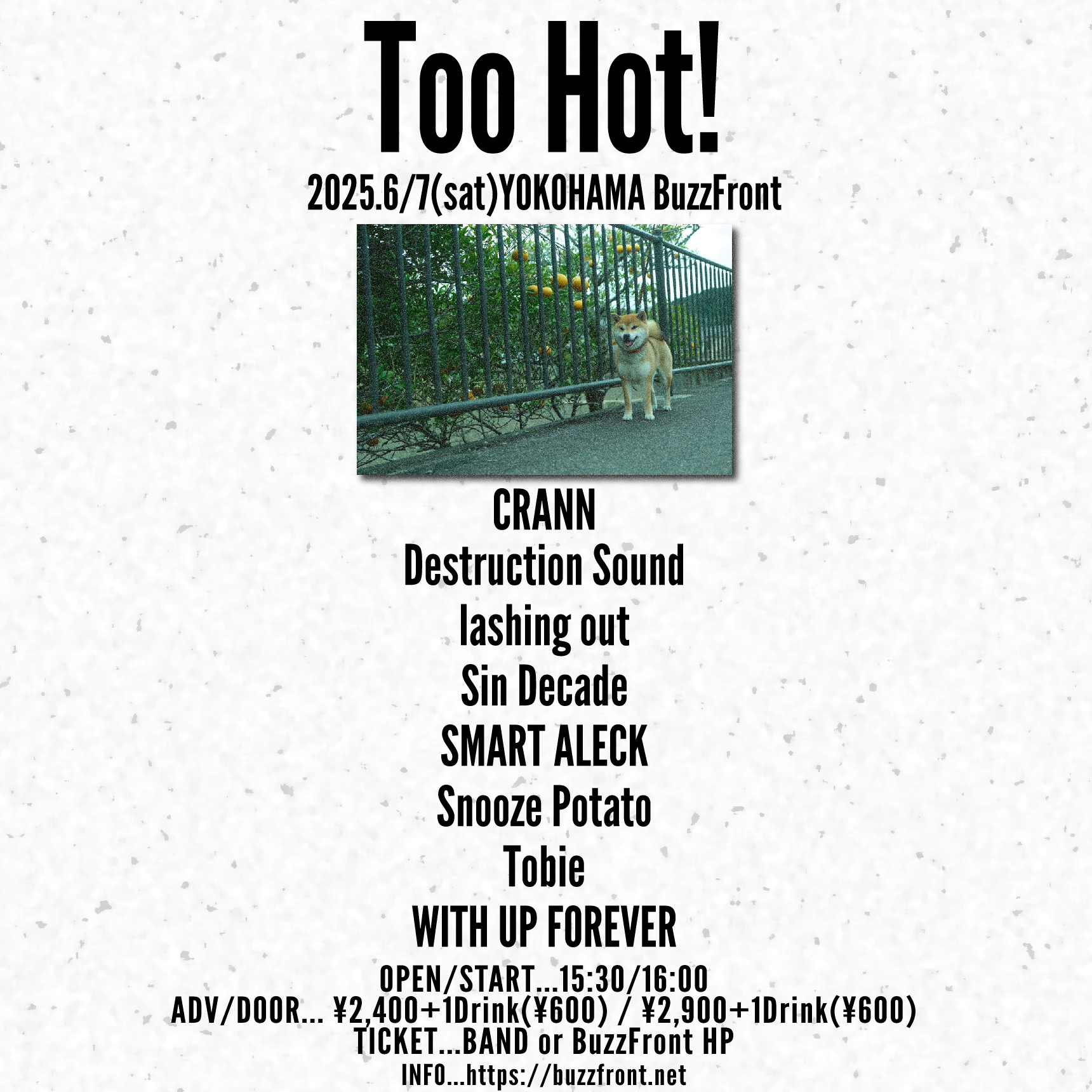 2025/6/7(Sat) 横浜BuzzFront Too Hot!!